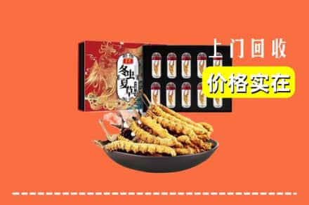 乌海市海勃湾回收虫草